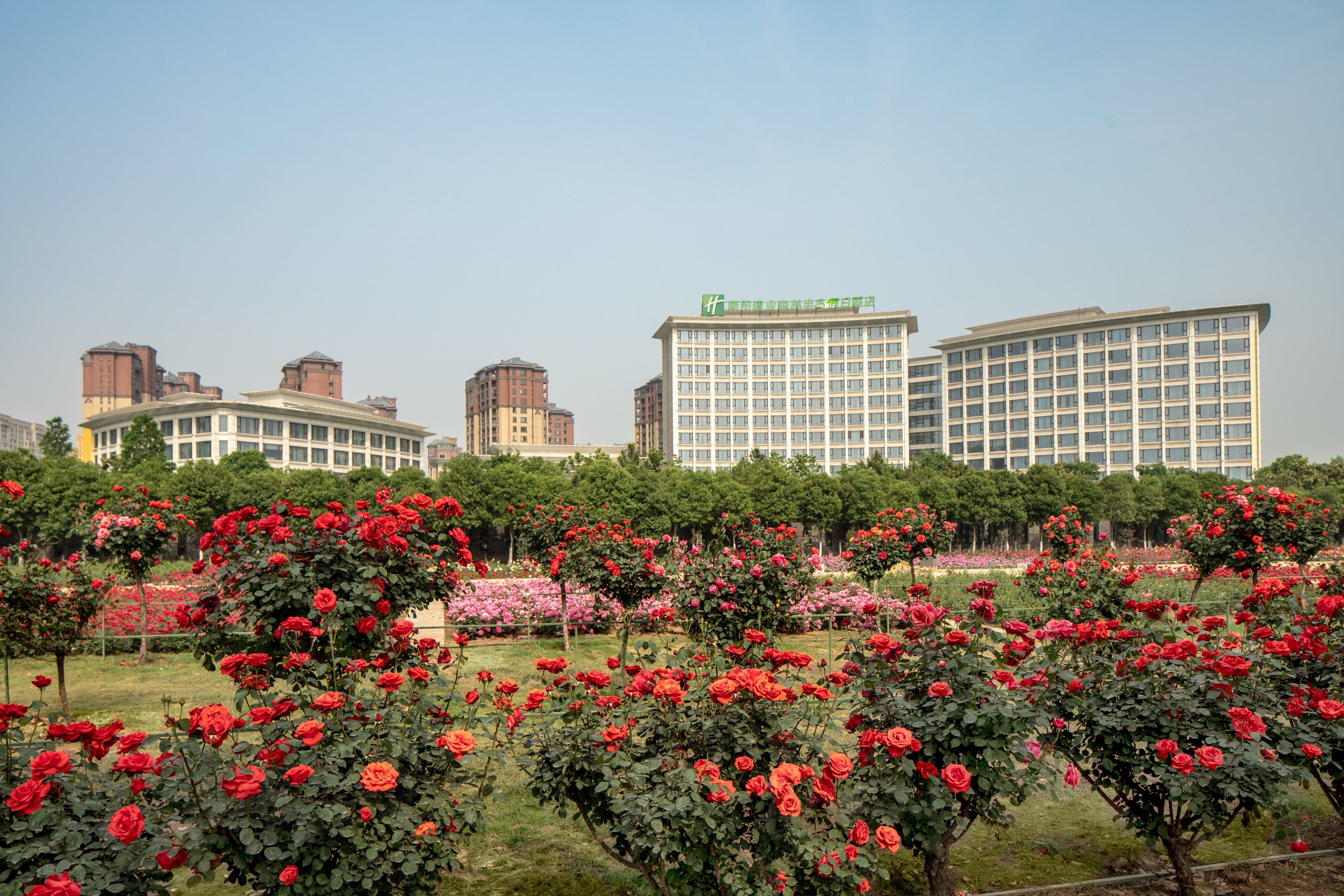 Holiday Inn Nanyang By Ihg Exterior foto