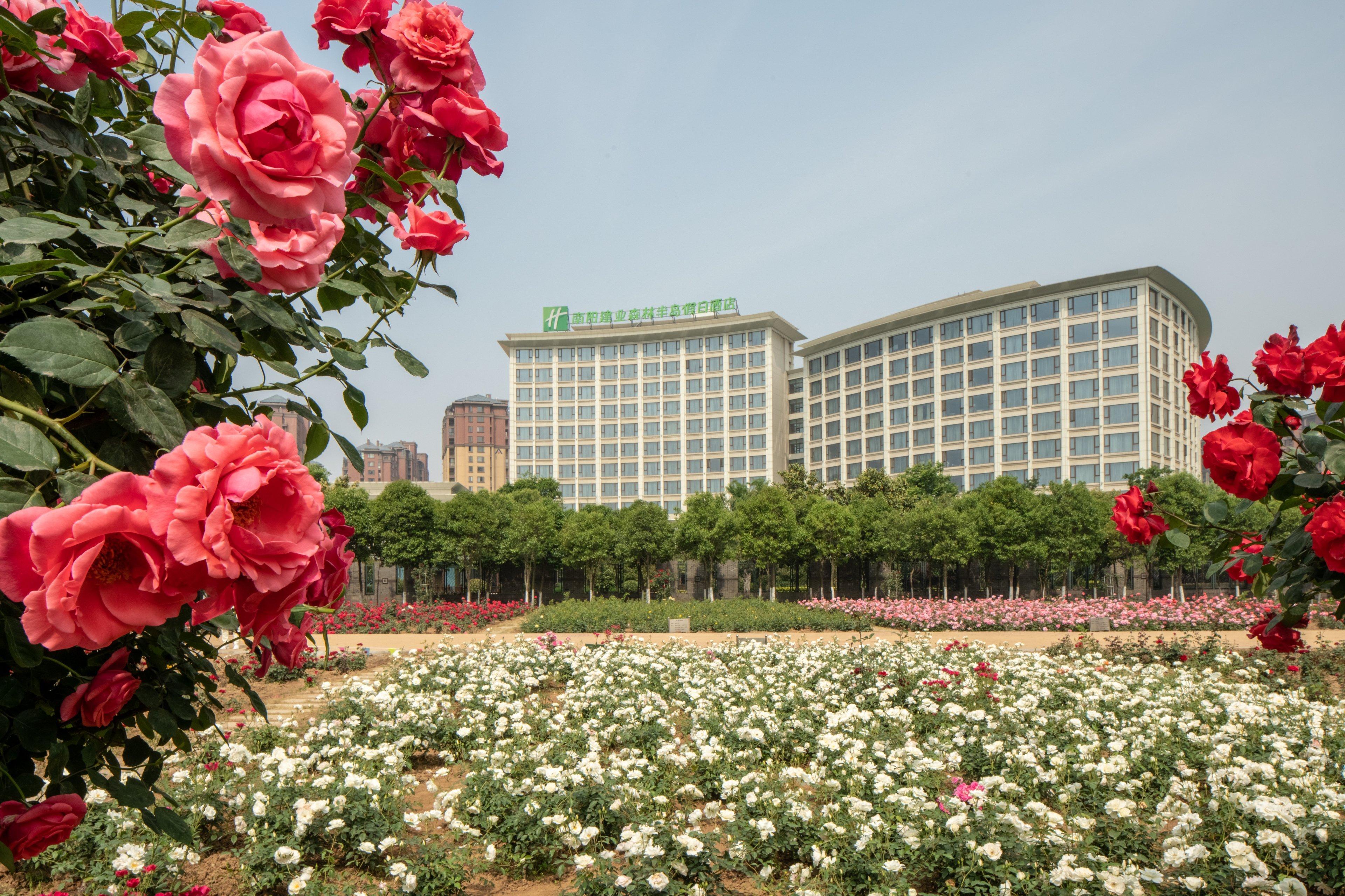 Holiday Inn Nanyang By Ihg Exterior foto